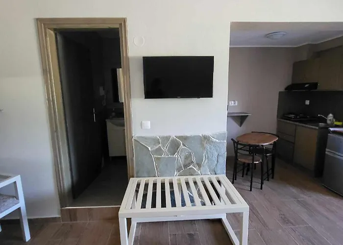 Dimitri يميناريا